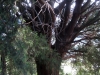 12_agios_petros
