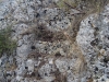 40_agios_petros