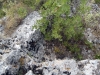 41_agios_petros