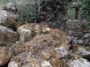 42_agios_petros