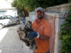 1_lipos_apoxetefsi_lefkada