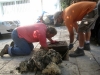 9_lipos_apoxetefsi_lefkada