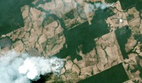 brazil-amazon-fires