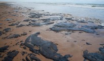 brazil-oil-spill