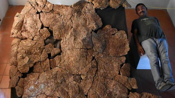 apolithoma-xelona-03