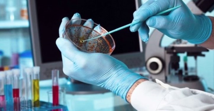 voithos_mikroviologou