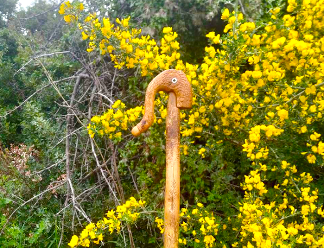 1_aspalathos_Angeli_Maria