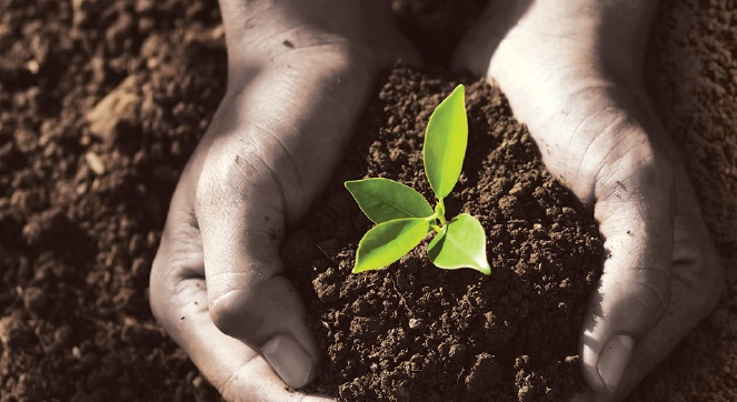 pagkosmia_mera_perivallontos