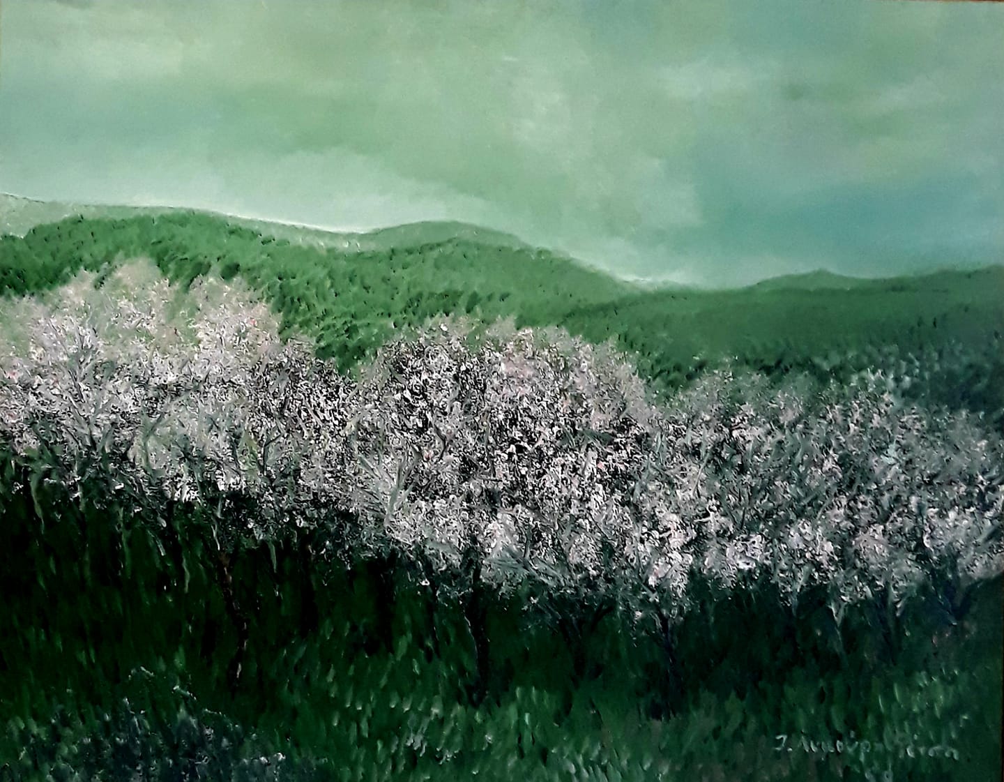 Ανθισμένες αμυγδαλιες στον ζακυνθινό Κάμπο