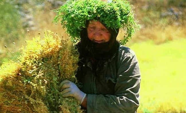 116434663_1471923989659748_3827224878350723073_n