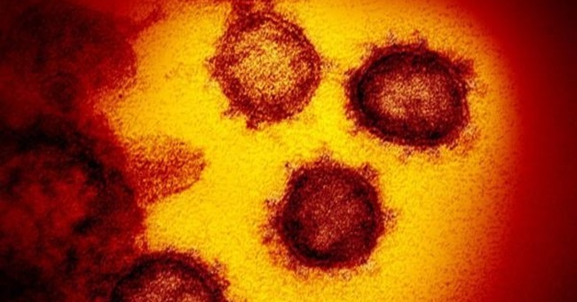 116436988_10217853227662460_8039449530290757725_n