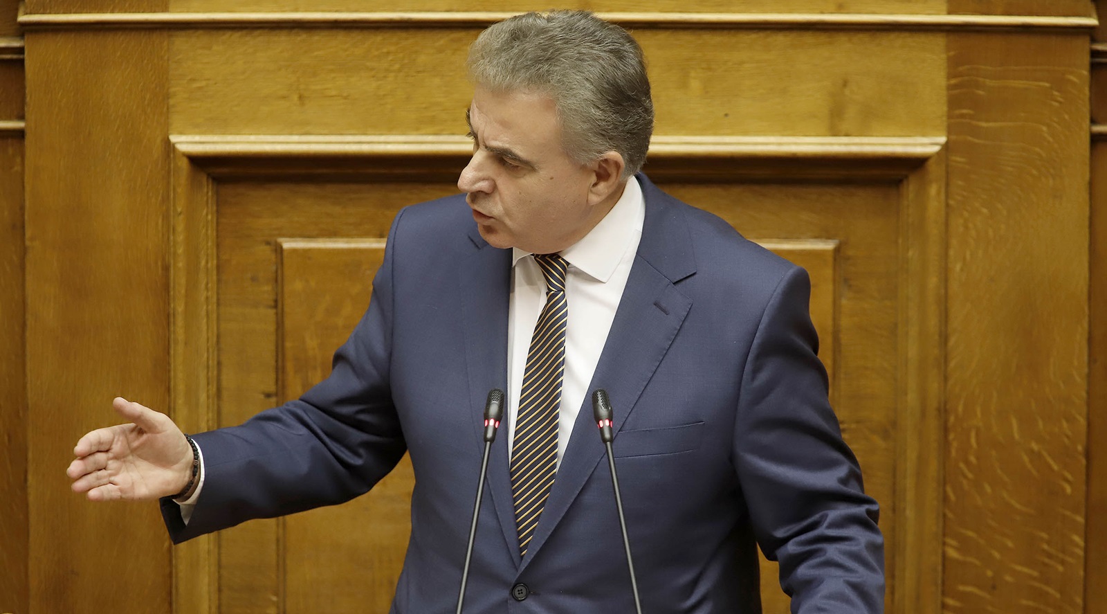 thanasis-kavvadas-vouli