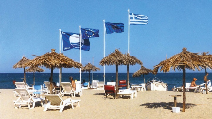 w30-74311PARALIES800454