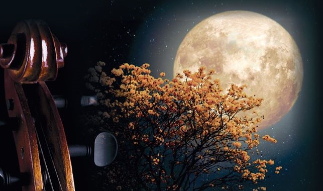 117932477_2797845640435087_3754160249111221801_o