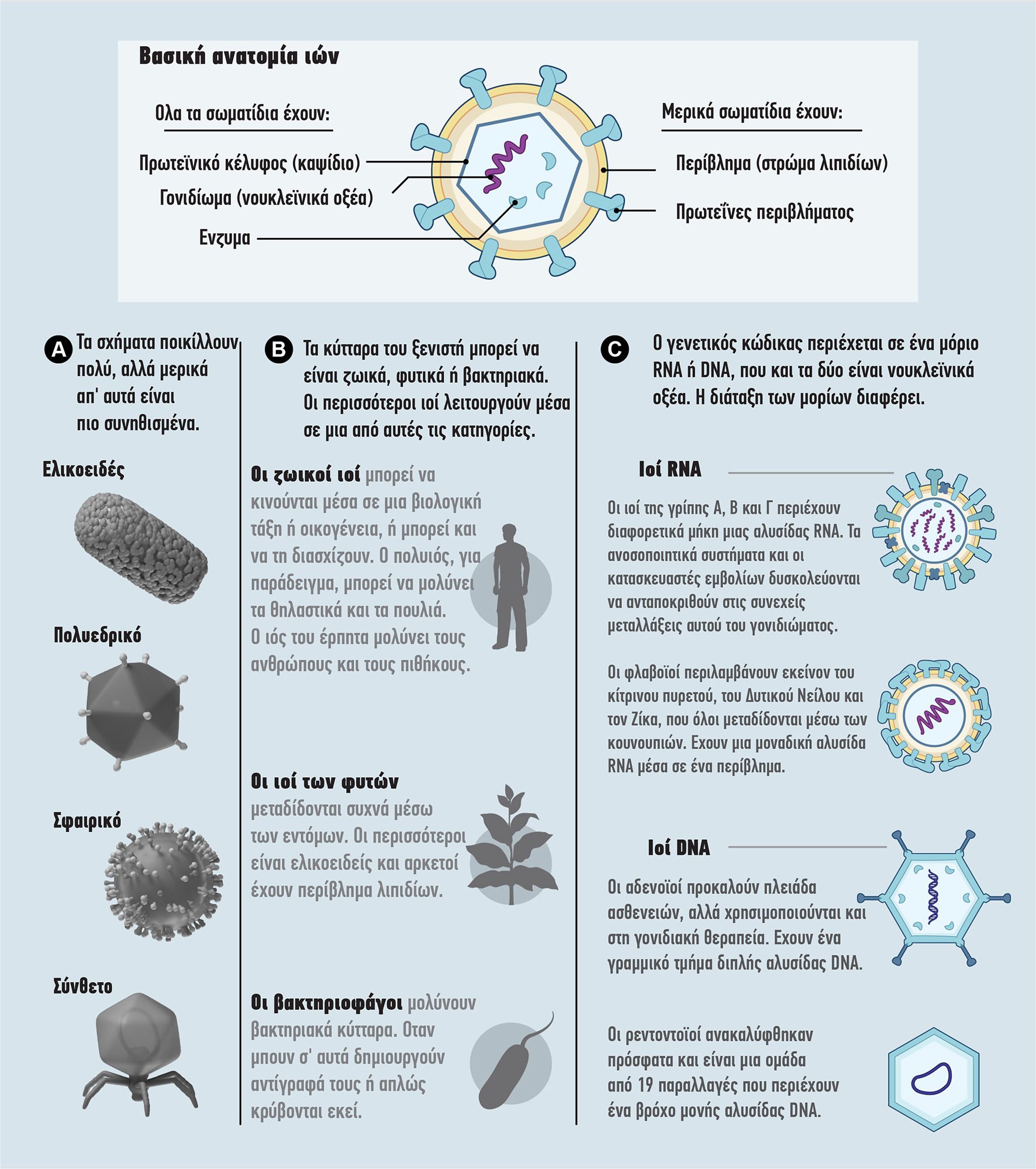 ΕΠΙΣΤΗΜΗ_21-22_11_2020