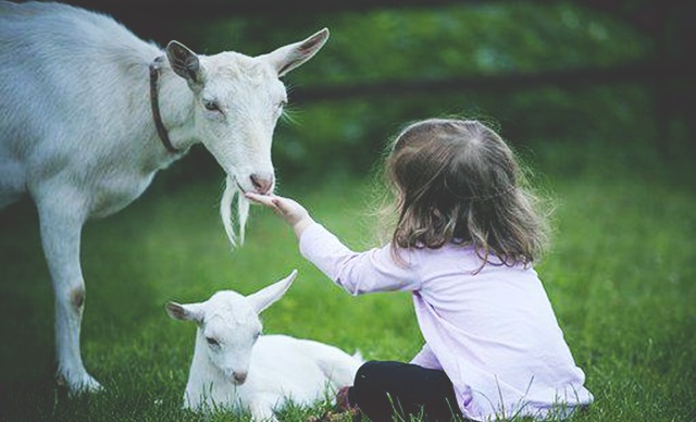 3_gennos_Aggeli_Maria