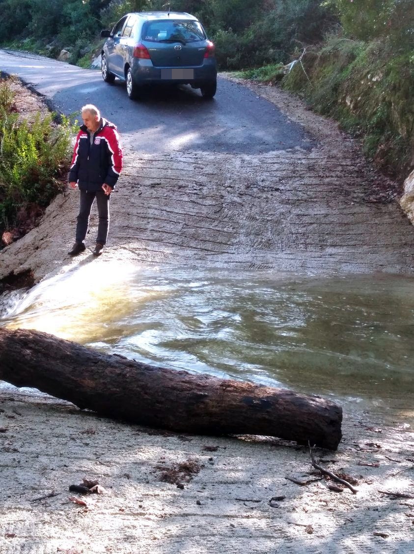 136692667_4903118576429542_2915750437537131173_o