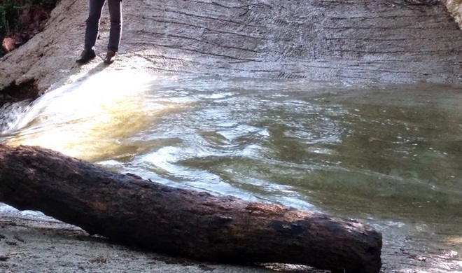 136692667_4903118576429542_2915750437537131173_o