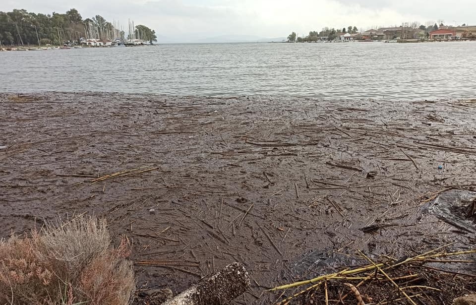 136977458_2925748187644831_9107851266655089434_n