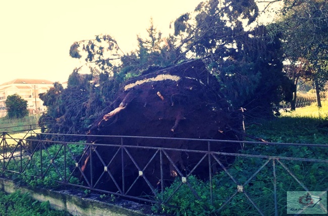 138800622_2929940310558952_8350246441902532731_o