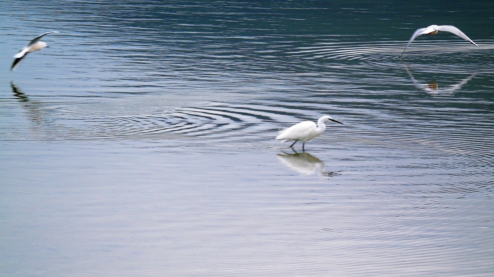 2_limnothalassa_lefkadas