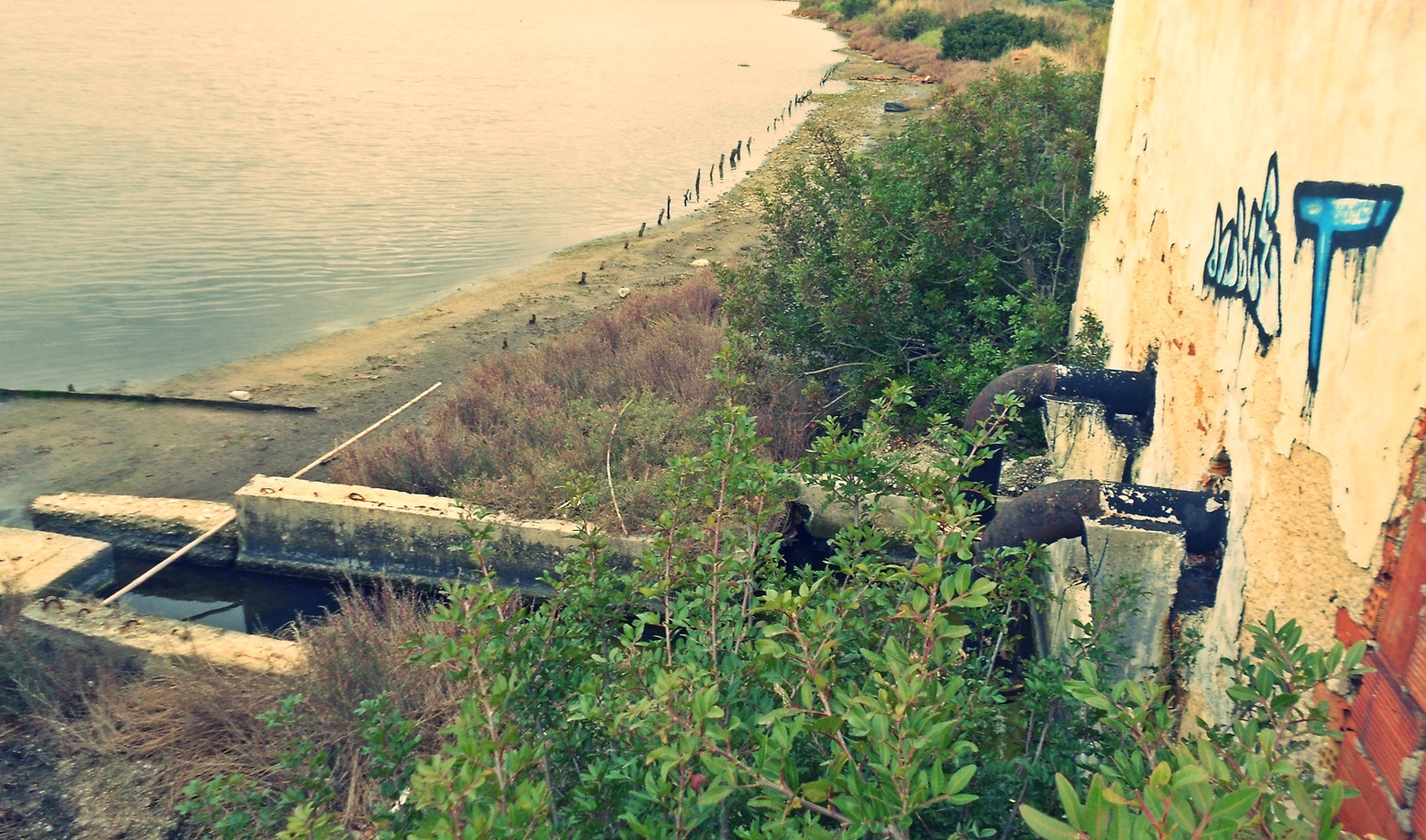 41_alykes_Alexandrou