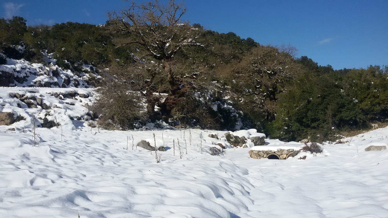 46665702441_ca1f3d3868_o