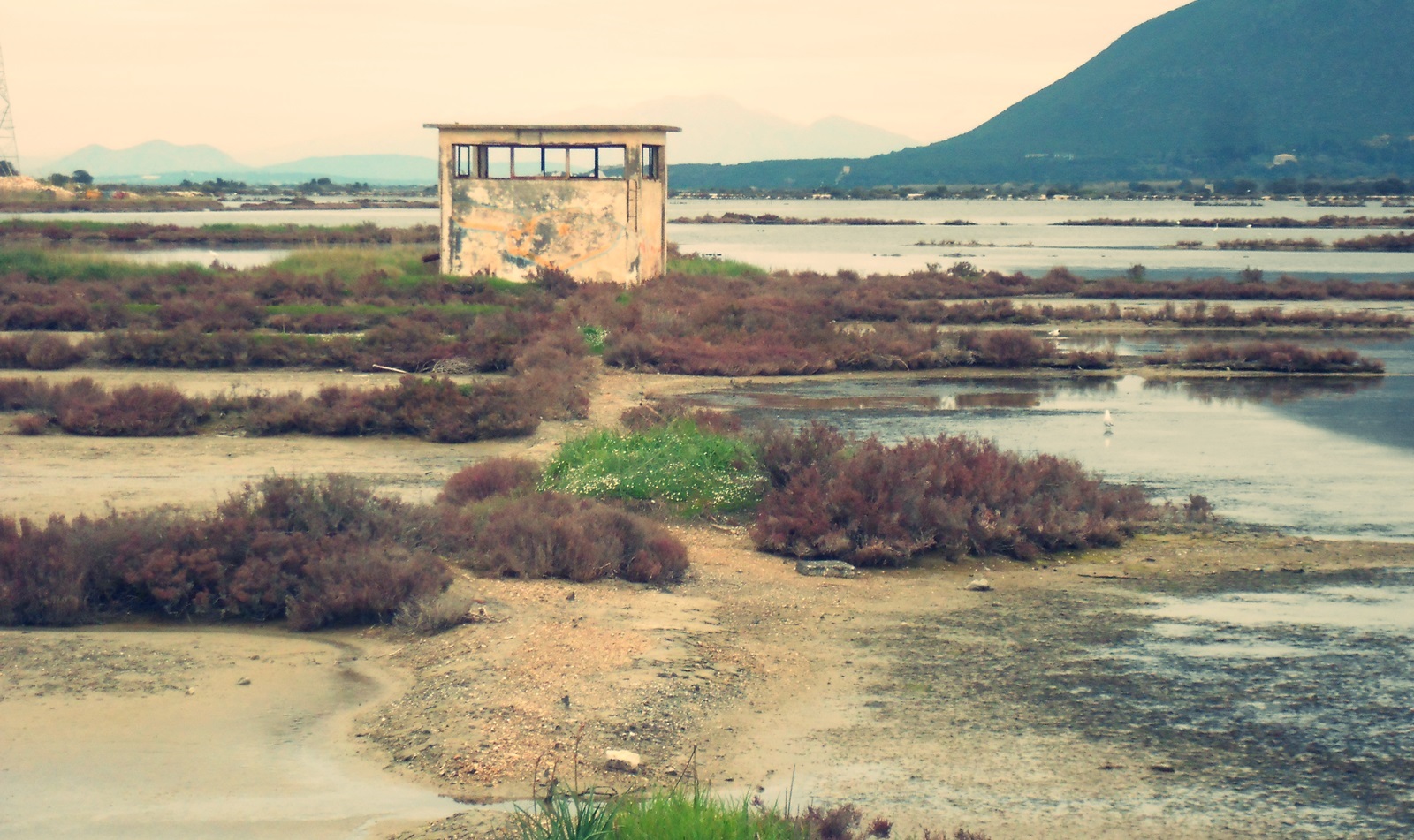 46_alykes_Alexandrou