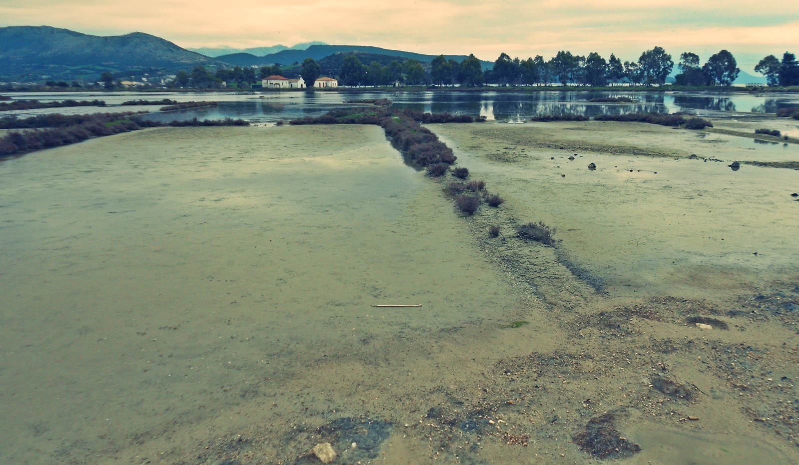 50_alykes_Alexandrou