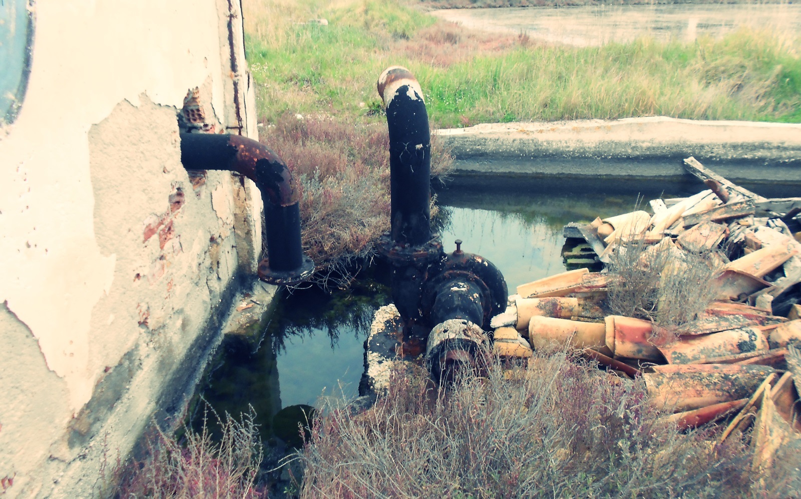 59_alykes_Alexandrou