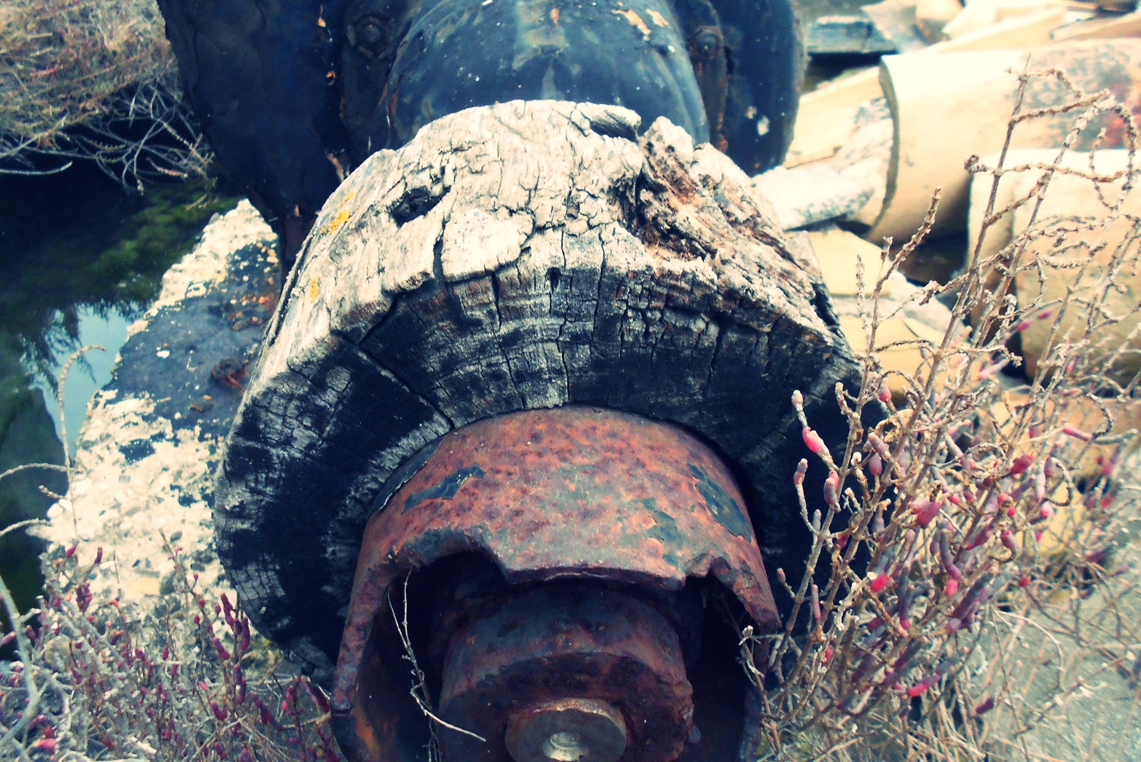 60_alykes_Alexandrou