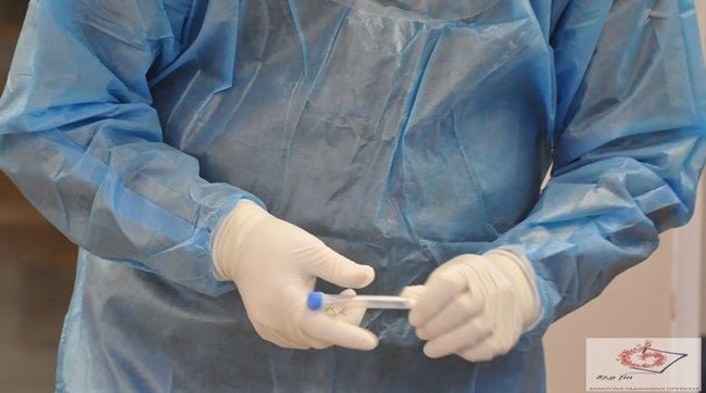 148561233_2949060165313633_6180882886866477105_o