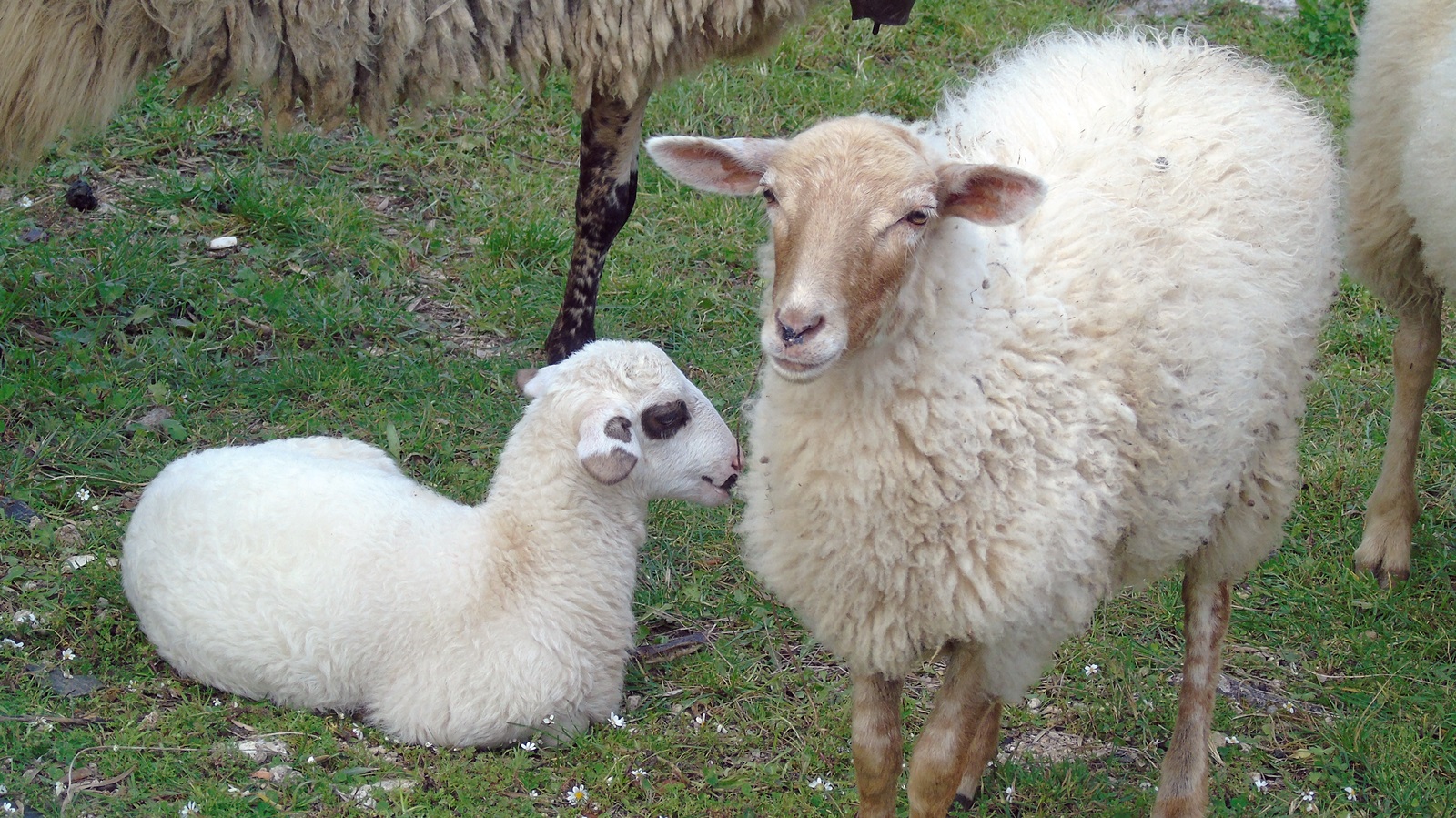 50979656287_b35e62ee0b_o (1)