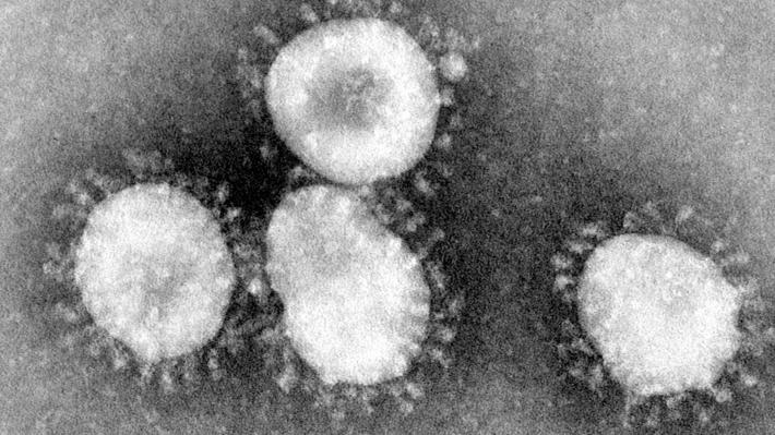 coronavirus