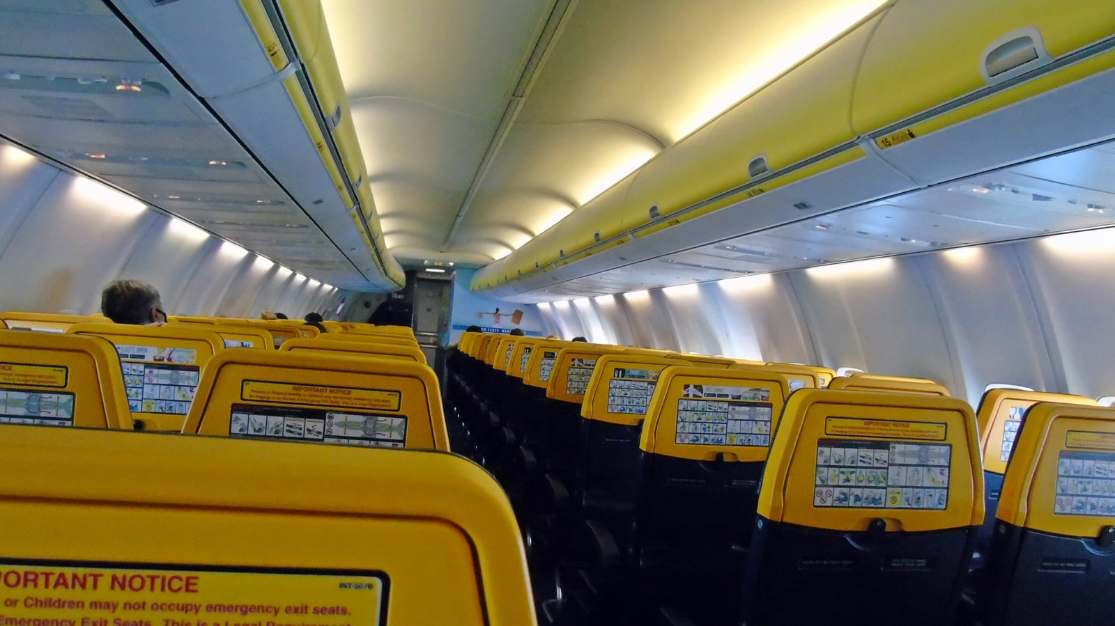 124746695_10222901556794940_8883857455492871378_o