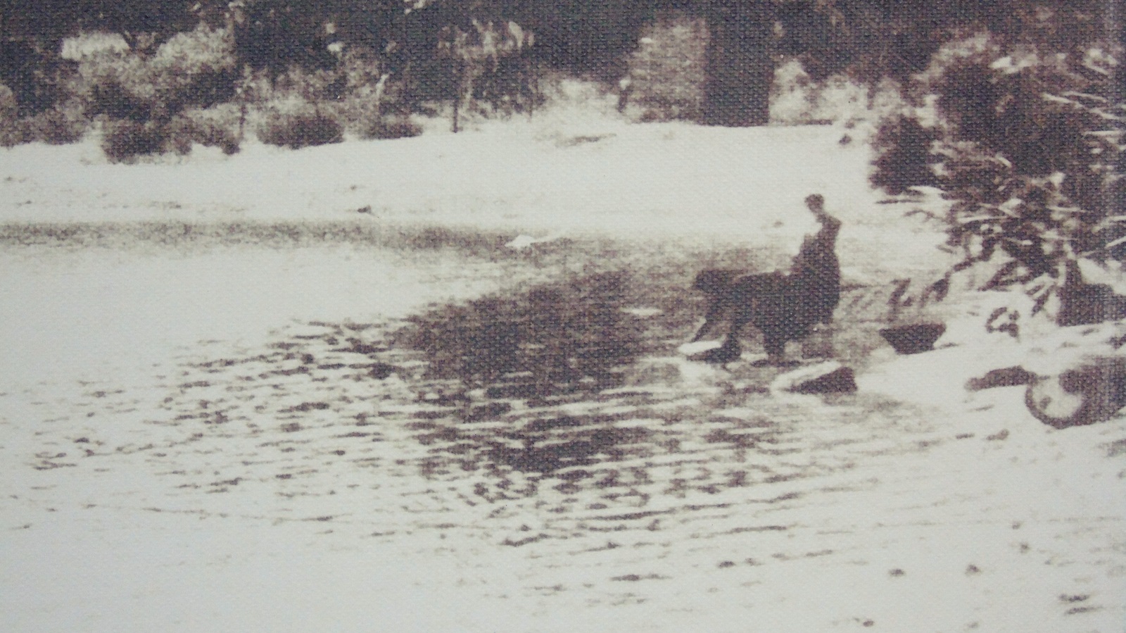 2_limani_nikianas_palia