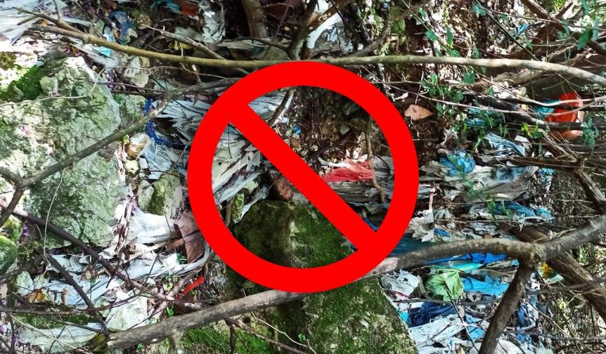 185025326_388603005596992_5871193354242045103_n