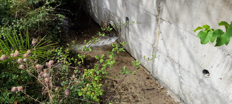 1_kataggelia_gia_viologiko_Ellomenou