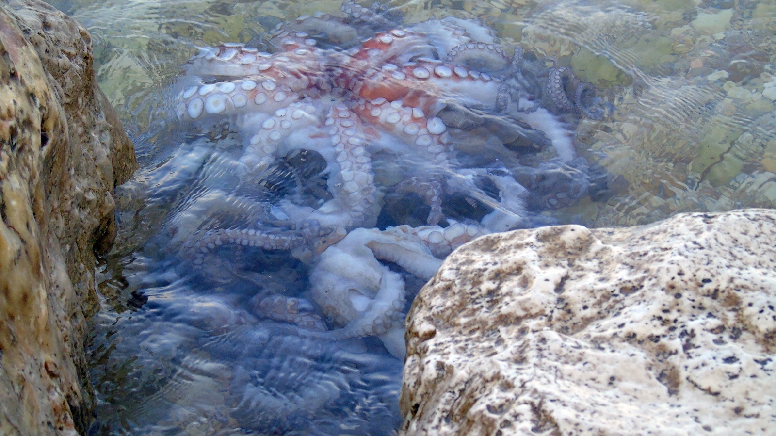 1_xtapodia_limani_nikianas