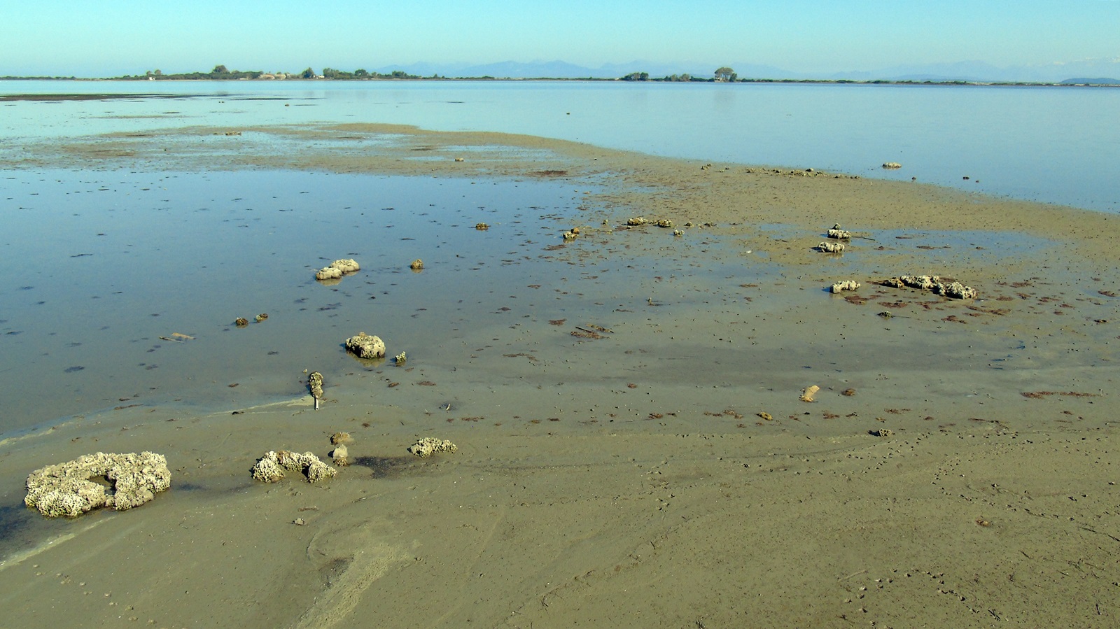 51002939363_45af245f35_o