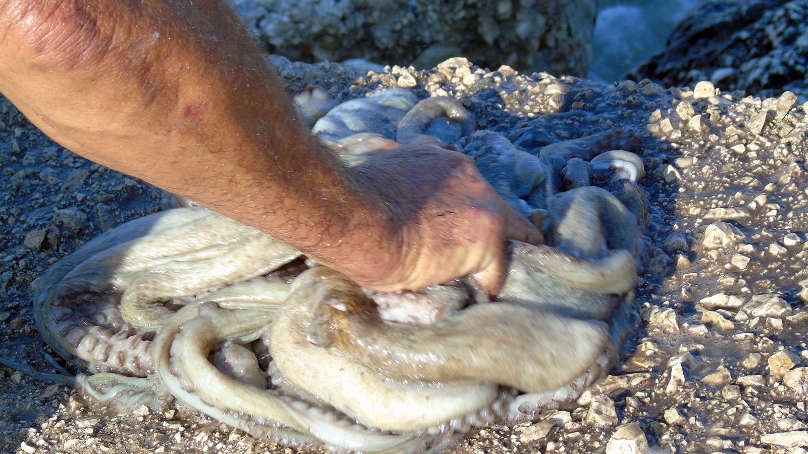 5_xtapodia_limani_nikianas