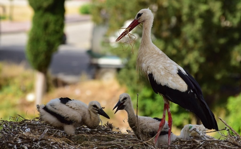 212073916_3062814730604842_2530357631357148136_n