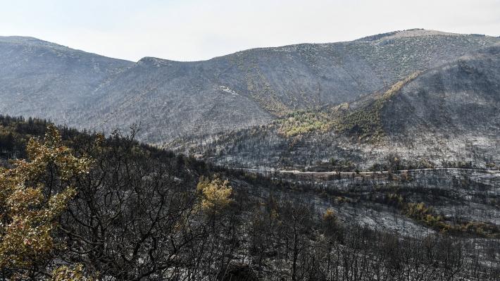 vilia-fotia-pirkagia-33