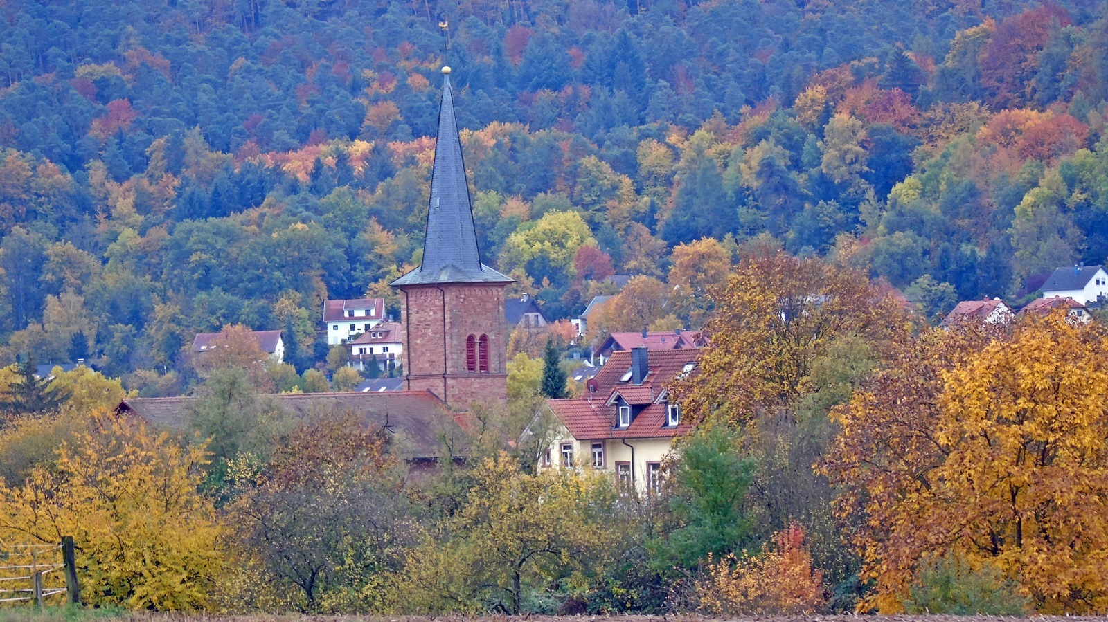 15_fthinopoto_germania