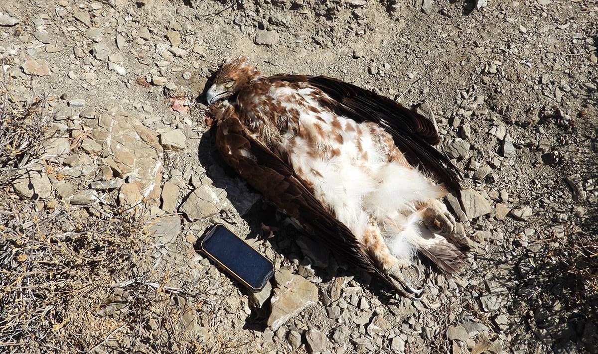 246056370_10159522713438482_8811413023215635691_n