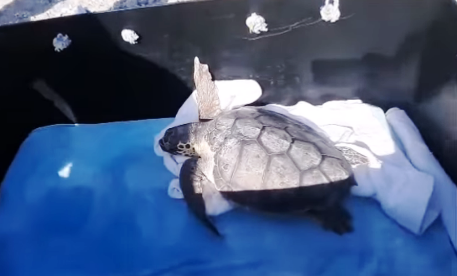 251057756_3155798681306446_1631578902199770793_n