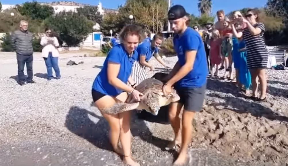 251679735_3155798804639767_648946111358036051_n