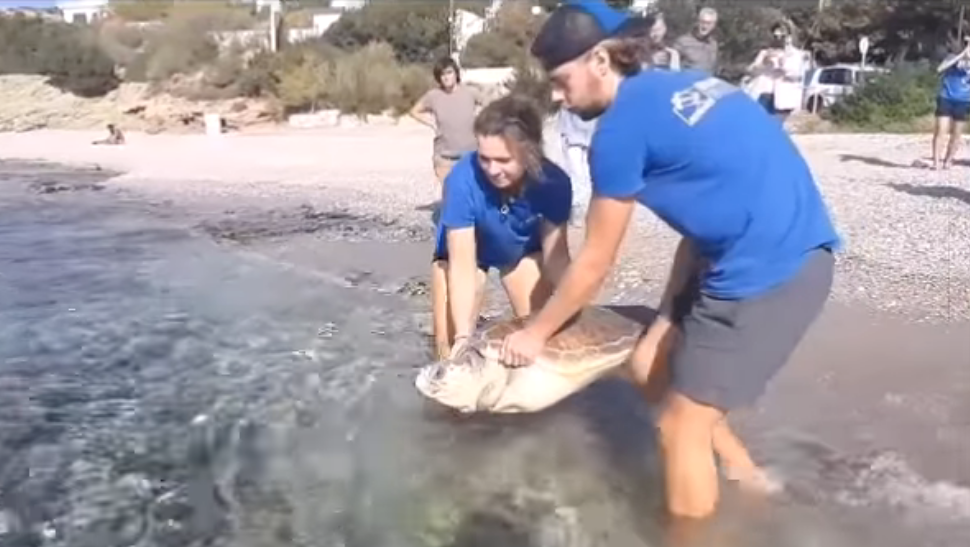 251893372_3155799111306403_7410887237649006215_n