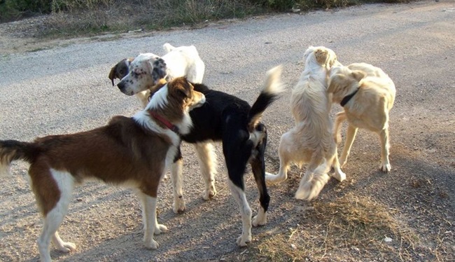 275898991_3256005897952390_271062278096545922_n