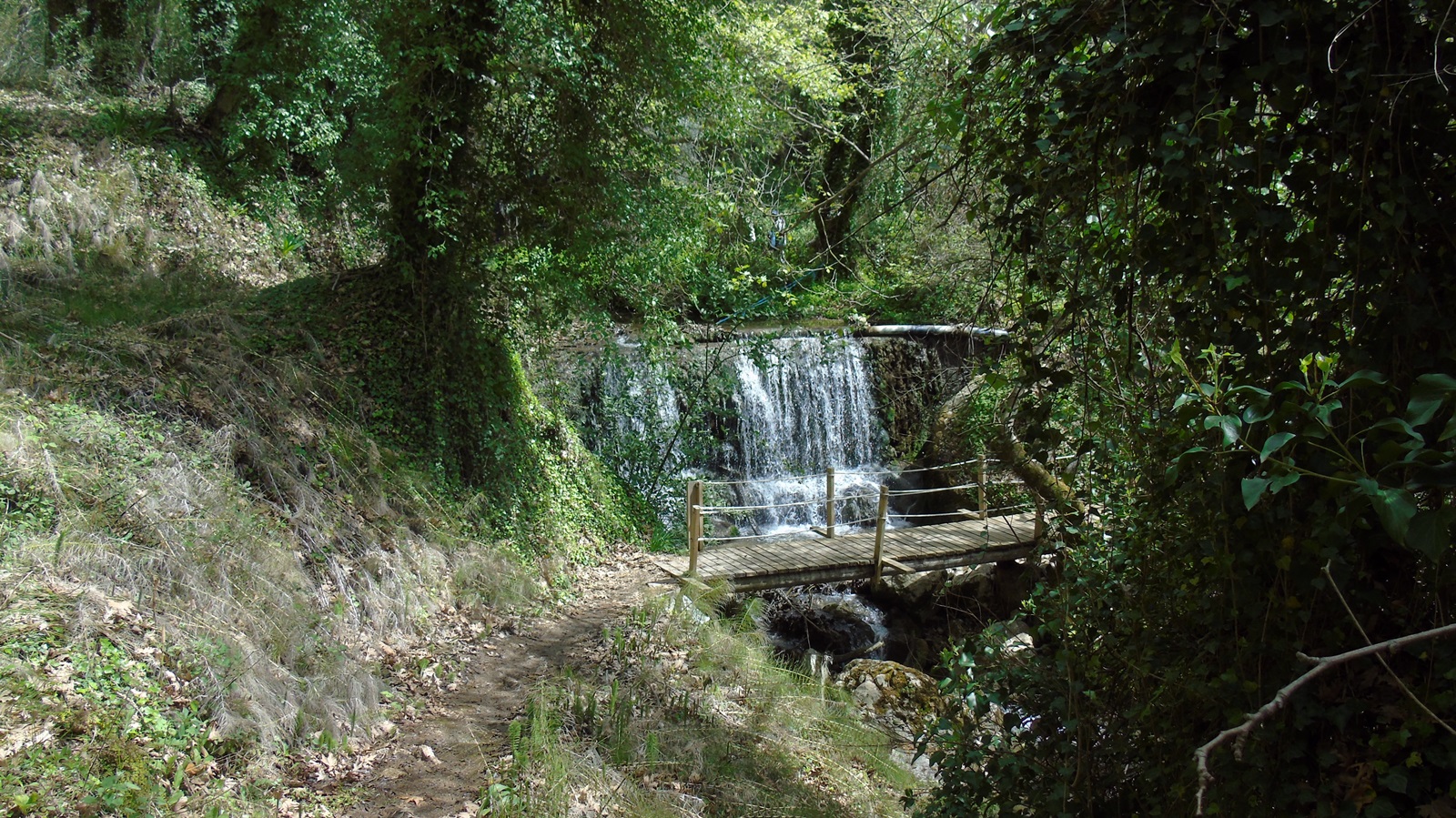 1_pigi_dafnis_syvros